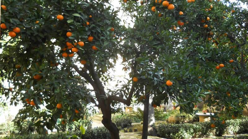 B&B L'Orangerie D'Epoque Lecce Esterno foto